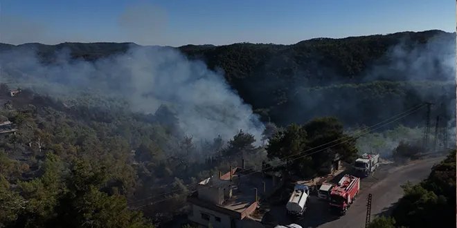 اللاذقية: فرق الإطفاء تكافح أكثر من 10 حرائق حراجية في الريف وسط صعوبات جمة