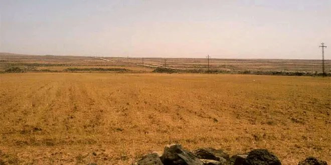 الجفاف يضرب الزراعة السورية: تداعيات خطيرة وحلول عاجلة