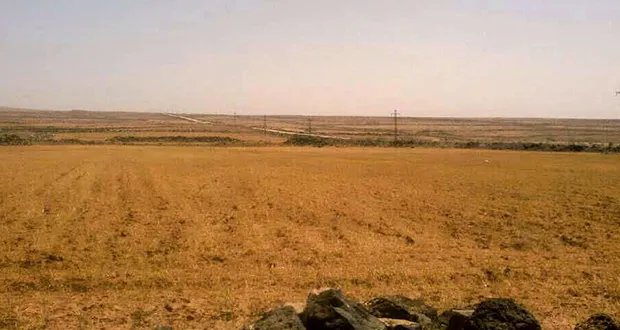 الجفاف يضرب الزراعة السورية: تداعيات خطيرة وحلول عاجلة