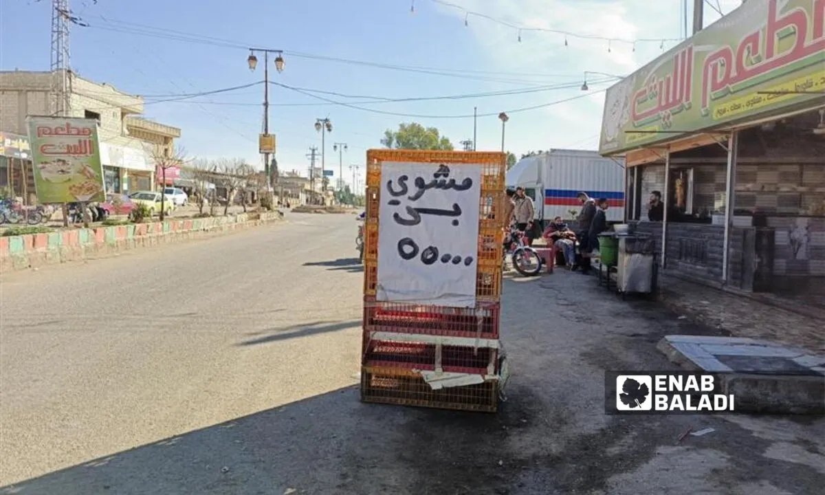 تراجع أسعار الفروج في درعا يكبّد المربين خسائر رغم إقبال المستهلكين