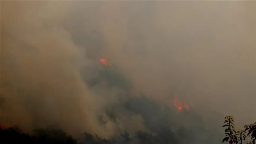 السيطرة على حريق في واحة نخيل بالمغرب بعد إتلاف 6 هكتارات