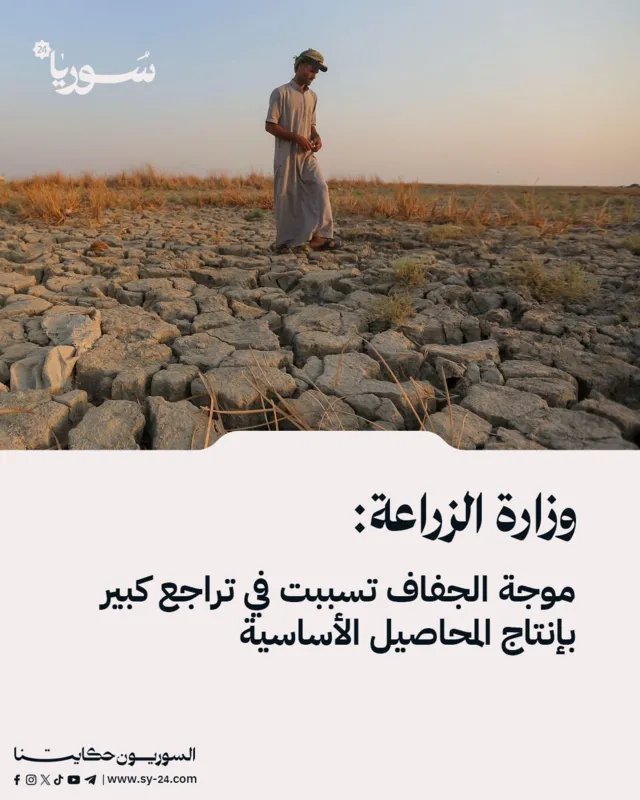 الجفاف يضرب الزراعة السورية: تراجع حاد في إنتاج المحاصيل الأساسية