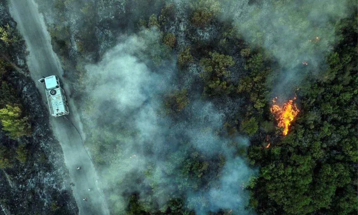سوريا تواجه تصاعدًا خطيرًا في الحرائق: أكثر من 3500 حريق خلال ثلاثة أشهر