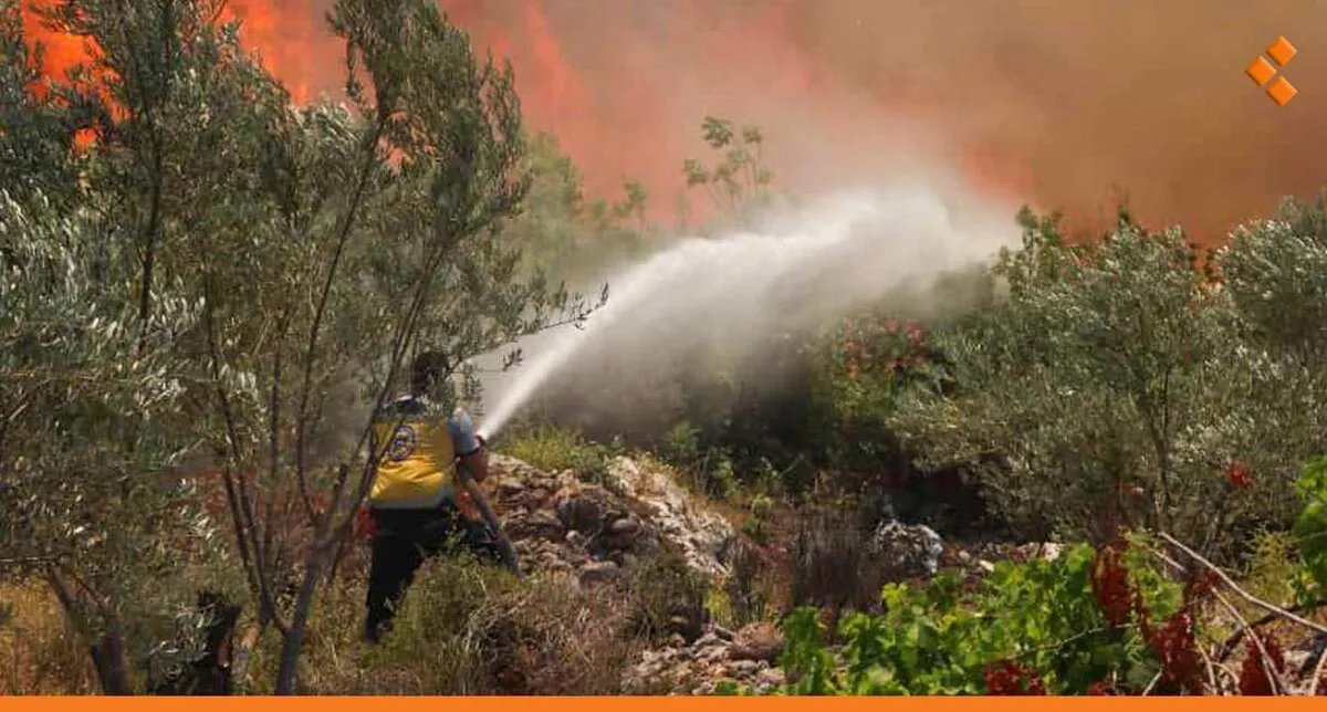 تحذيرات من ارتفاع حاد في حرائق سوريا: أكثر من 3000 حريق في ثلاثة أشهر