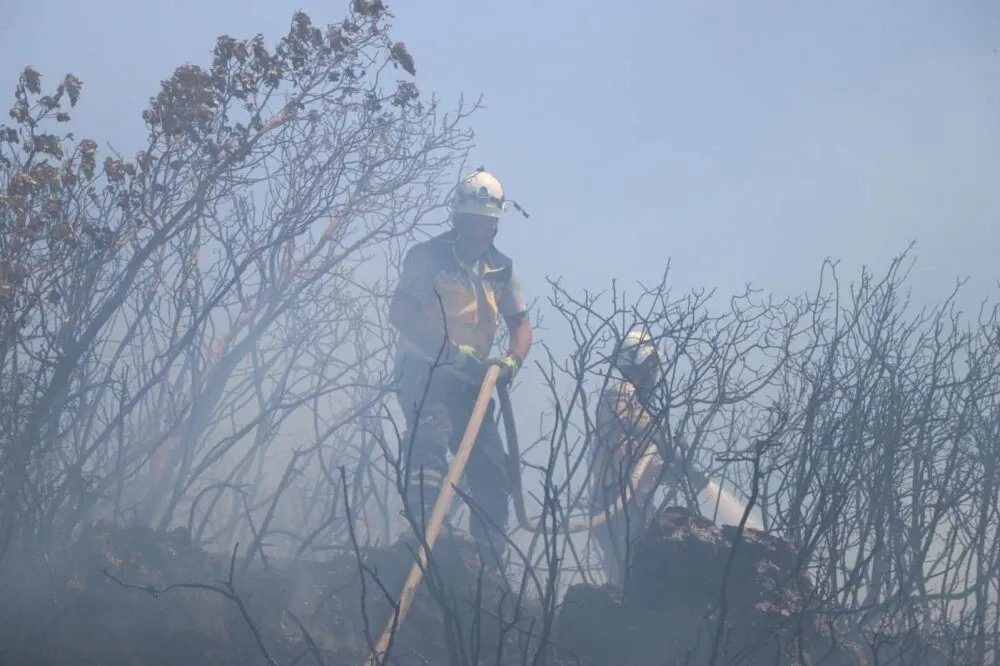 الدفاع المدني السوري يواجه 30 حريقًا في يوم واحد ويعزل نيرانًا قرب حقول ألغام في اللاذقية