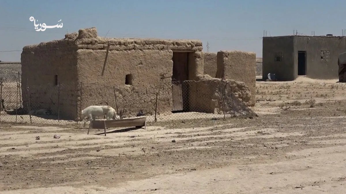 في ريف دير الزور: "حجر اللبن" يعود كملاذ أخير في ظل أزمة الإعمار وارتفاع الأسعار