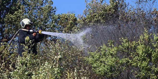 الدفاع المدني يكثف جهوده للسيطرة على حرائق غابات اللاذقية رغم التحديات