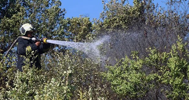 الدفاع المدني السوري يكثف جهوده للسيطرة على حرائق غابات اللاذقية رغم التحديات