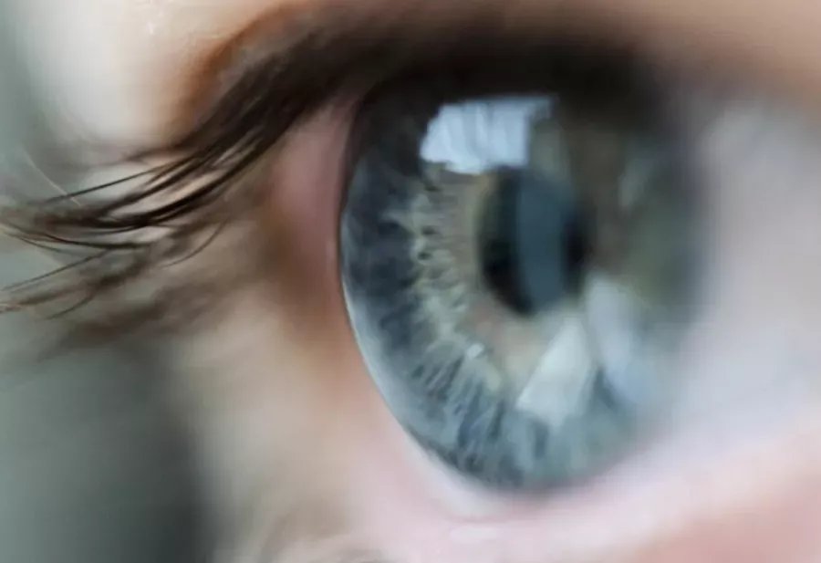 جريمة تهز تونس: زوج يقتلع عيني زوجته بحثاً عن كنز وهمي بتحريض من مشعوذ