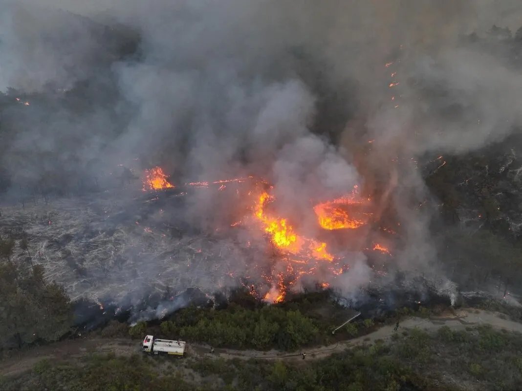 حرائق هائلة تجتاح ريف اللاذقية وفرق الإطفاء تكافح للسيطرة