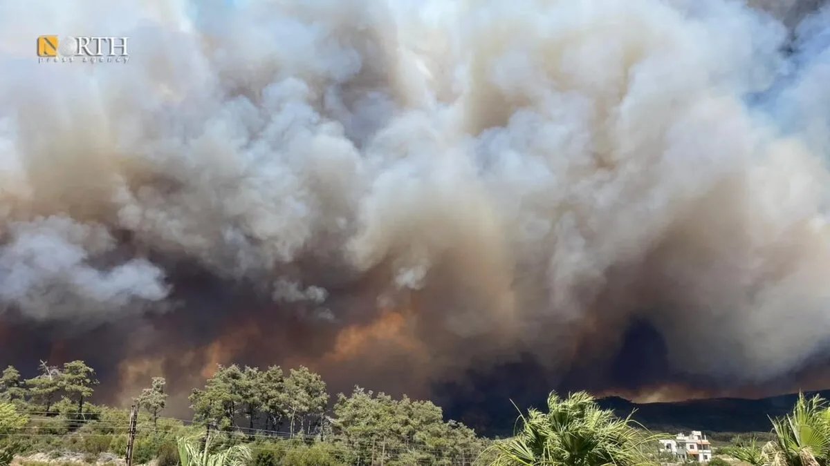 حرائق هائلة تجتاح ريف اللاذقية وتتسبب في خسائر واسعة