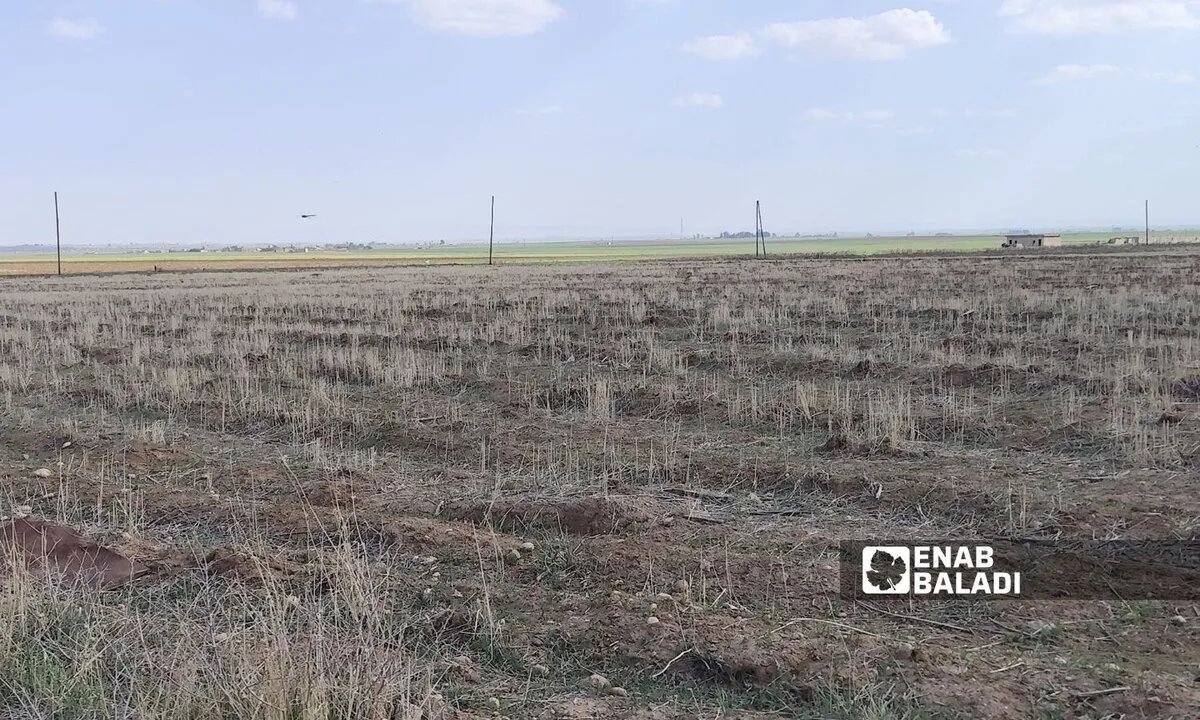 سوريا تتلقى 7.9 مليون دولار لمواجهة أسوأ موجة جفاف منذ 50 عامًا