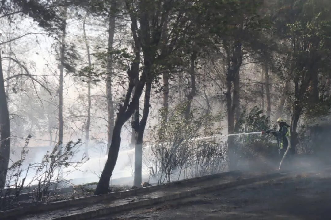 حرائق جبل التركمان تتسع نطاقًا وتستدعي استنفارًا وطنيًا شاملًا وسط تحديات ميدانية