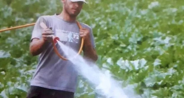 مبيدات وأسمدة ومحفزات الإنتاج السريع: هل هي خارج السيطرة وتضر بغذائنا؟