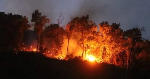 حرائق ريف اللاذقية مستمرة: جهود مكثفة وإخماد جوي بمروحيات