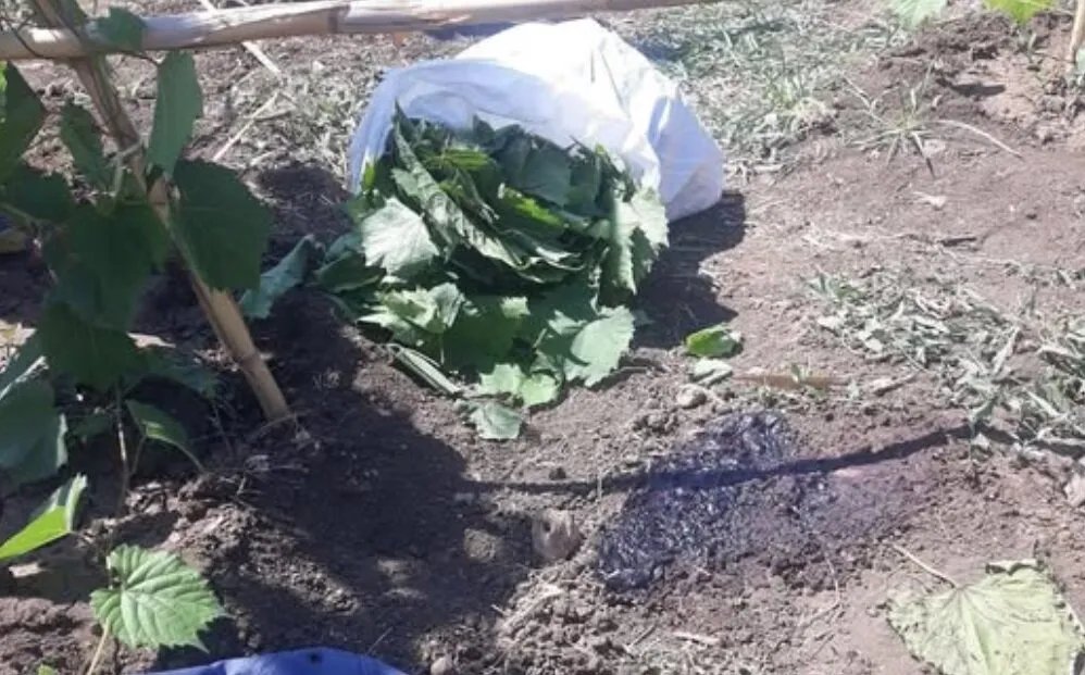 اللاذقية: غضب واحتجاجات عقب مقتل شاب برصاص عنصر من وزارة الدفاع.. وتعهد بمحاسبة الجاني