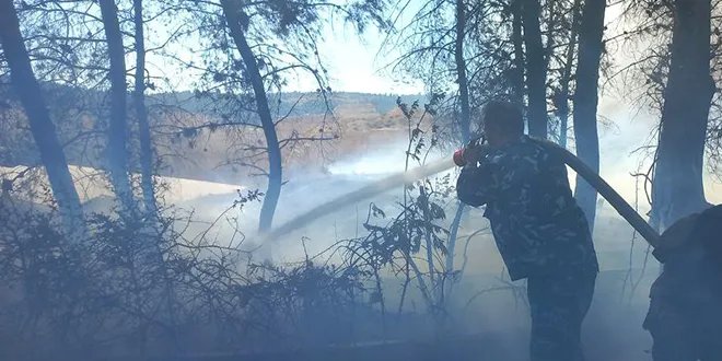 السيطرة على حريق حراجي بين مشروع دمر وقصر الشعب في دمشق