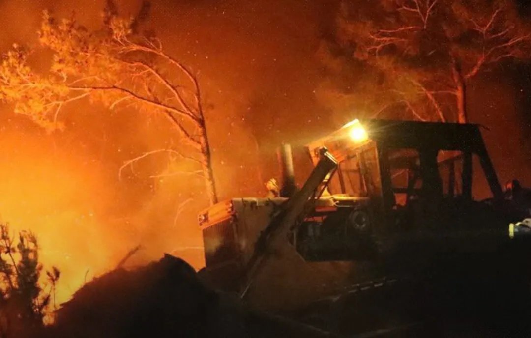 كارثة بيئية: حرائق هائلة تجتاح غابات الساحل السوري وجهود مضاعفة لاحتوائها