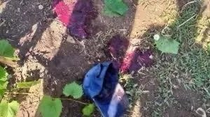 الجيش يسلم قاتل عامر أمون في البرجان للقضاء العسكري ويؤكد: محاسبة المجرمين شرط أساسي لوقف الجرائم