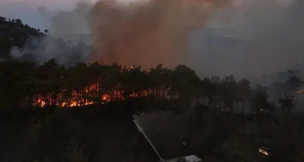 حرائق اللاذقية مستمرة: إغلاق طرق وإجلاء السكان وسط ظروف جوية صعبة