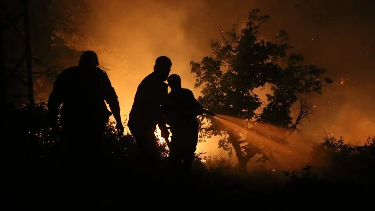 اللاذقية تحترق: إخلاء قرى كاملة مع اتساع رقعة الحرائق