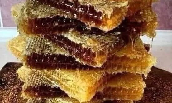 أسرار العسل: فوائد مذهلة وقصص فريدة من عالم النحل