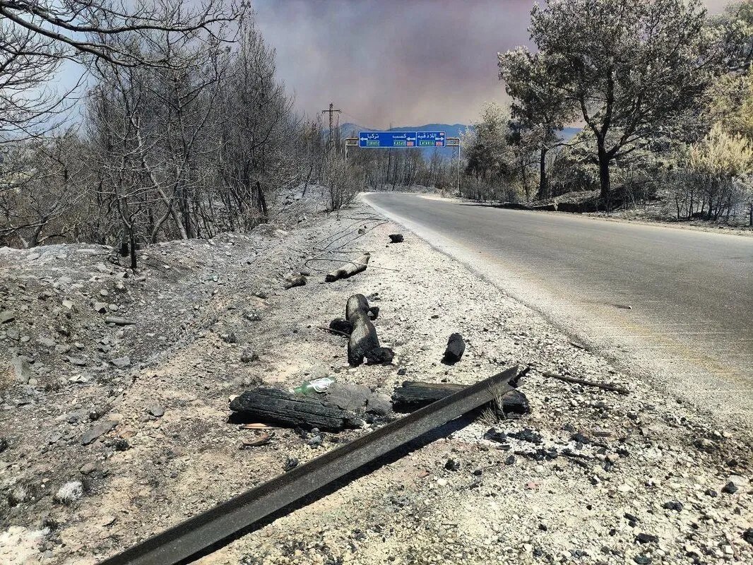 حرائق اللاذقية تتسبب في خروج محطة تحويل البسيط عن الخدمة وانقطاع الكهرباء