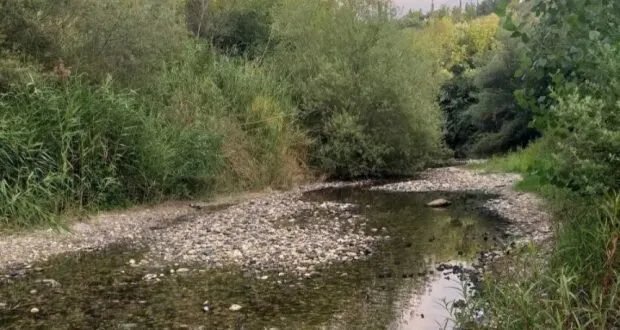 موجة الحر والجفاف تهدد مصادر المياه: جفاف الينابيع والآبار يثير القلق في سوريا ولبنان