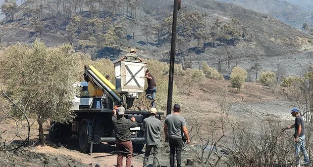 حرائق اللاذقية تتسبب في توقف محطة تحويل البسيط عن العمل وجهود مكثفة لإعادة التيار