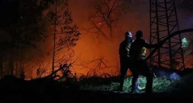 حرائق اللاذقية: مأساة مستمرة وجهود مضنية لمكافحة النيران