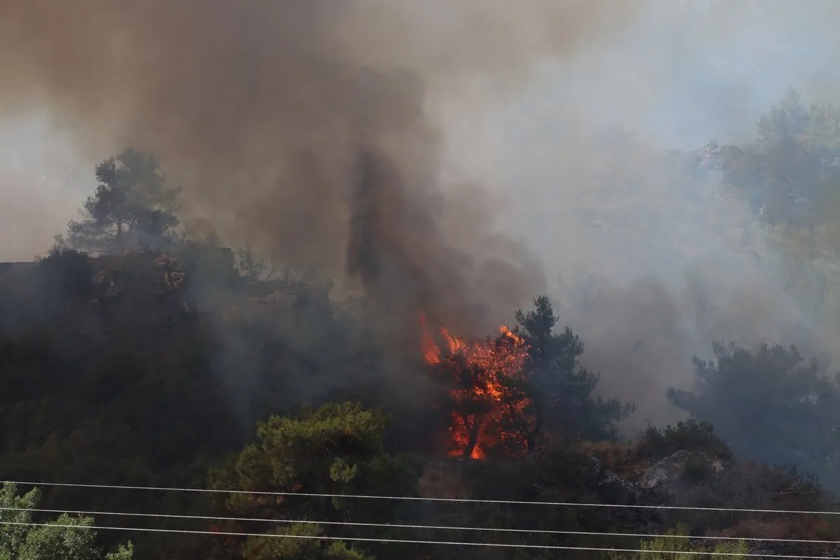 استجابةً لحرائق الساحل السوري: منظمة حقوق الإنسان تطلق حملة "نَفَس" الإغاثية