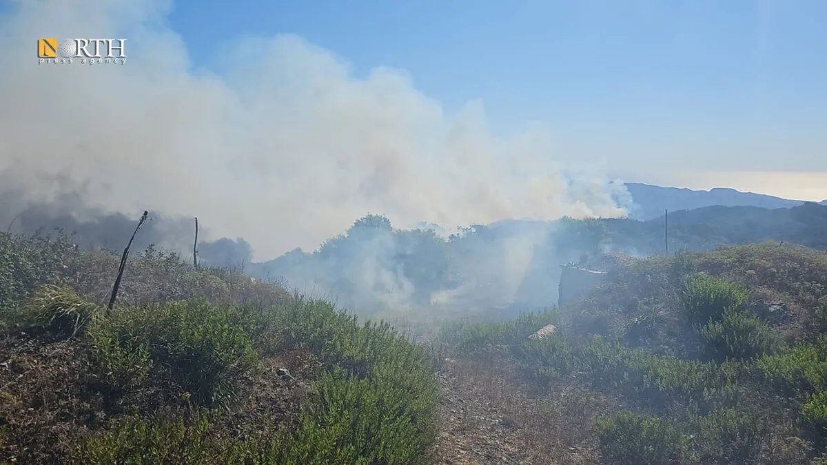 حرائق اللاذقية تلتهم آلاف الهكتارات وتستدعي غرفة عمليات مشتركة