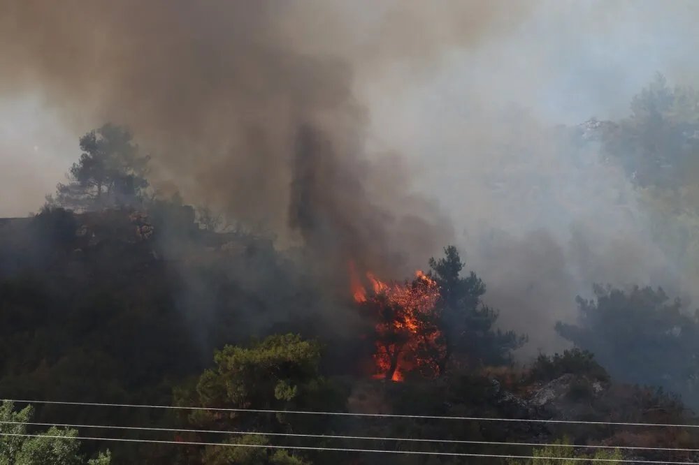 الأردن يرسل فرق الإطفاء إلى سوريا للمساعدة في إخماد حرائق اللاذقية
