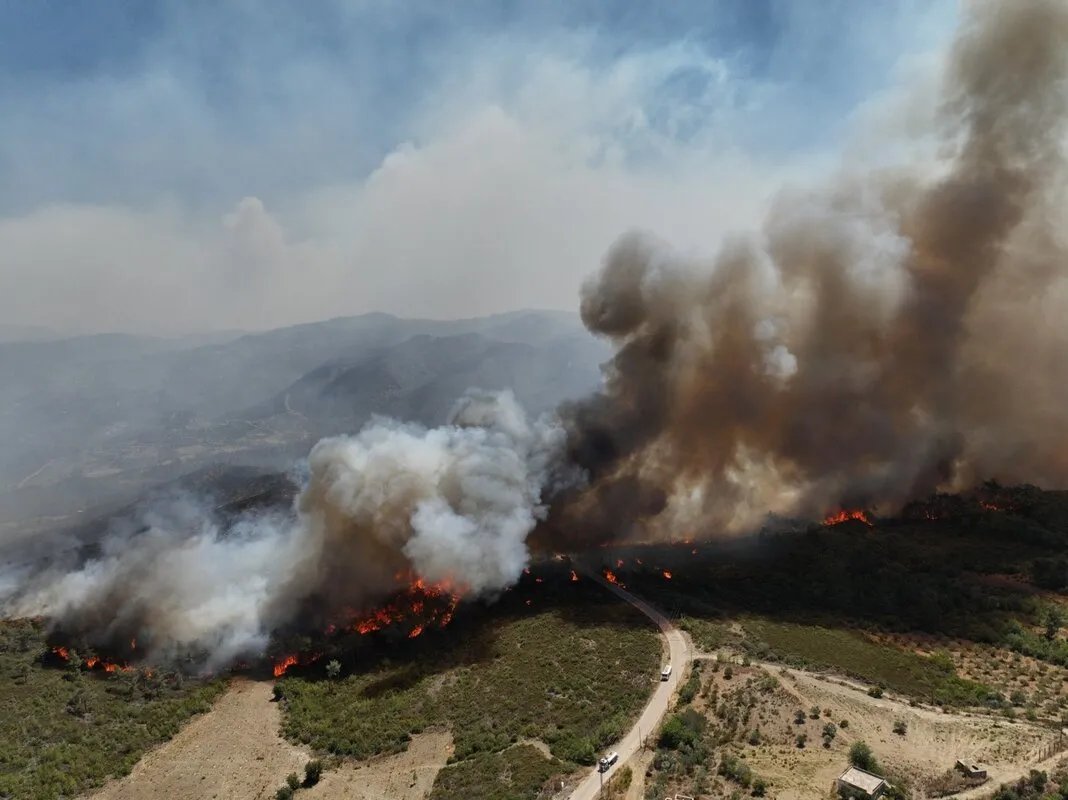 من قلب الأزمة.. كيف وحدت حرائق اللاذقية السوريين في مواجهة النيران؟
