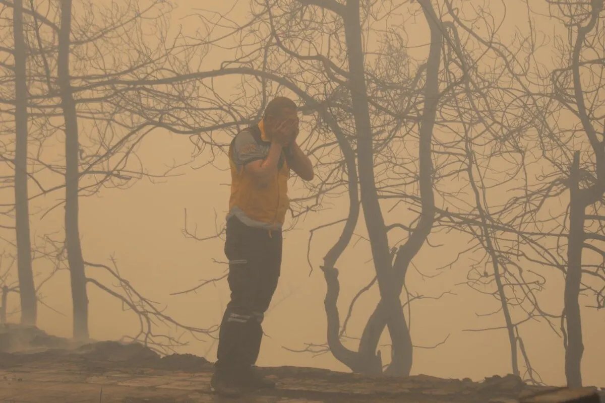 حرائق الساحل السوري: فرق إطفاء أردنية وتركية تدعم جهود مكافحة "الخوذ البيضاء" وسط اتساع رقعة النيران