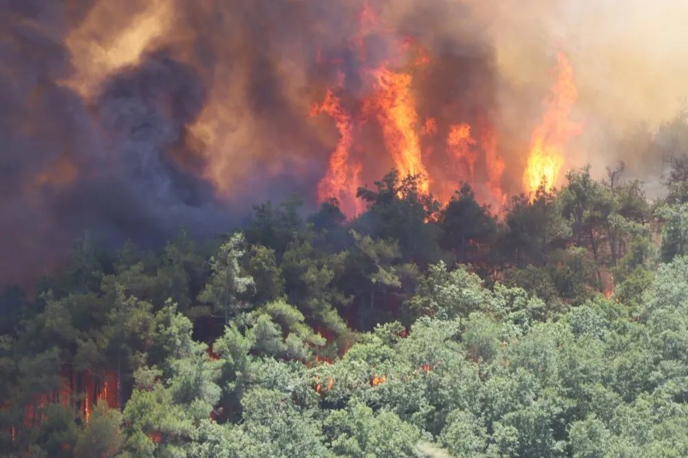 حرائق ريف اللاذقية تتجدد والدفاع المدني يواجه صعوبات بمساعدة دولية