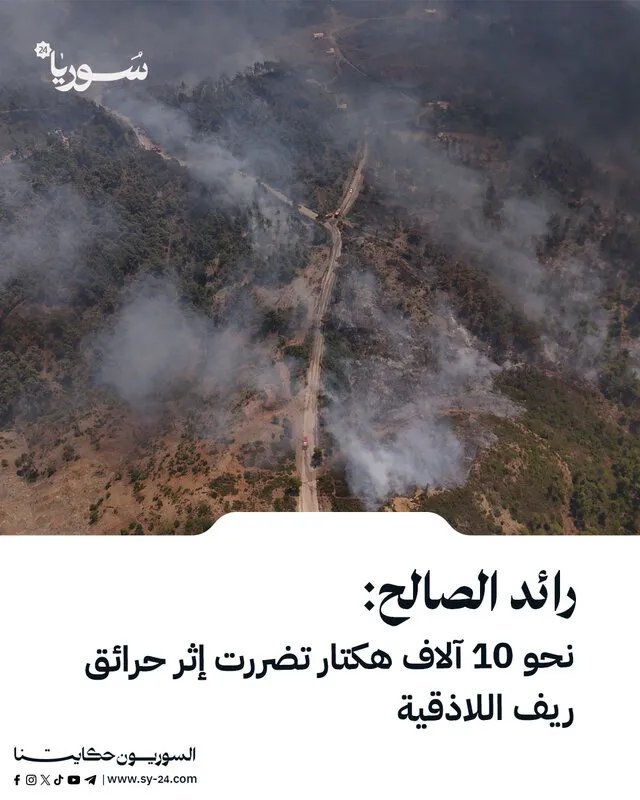 رائد الصالح يكشف عن تضرر 10 آلاف هكتار جراء حرائق ريف اللاذقية وجهود لإعادة التأهيل