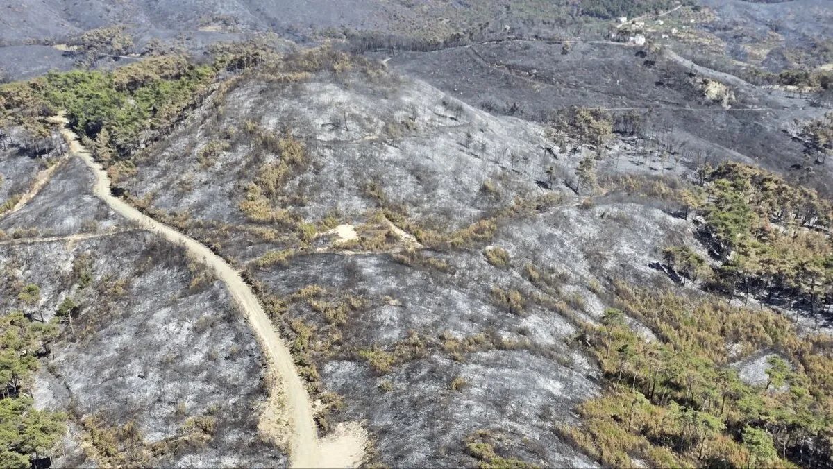 الساحل السوري يواجه حرائق متفاقمة وارتفاعاً في درجات الحرارة وسط تحذيرات من تجددها