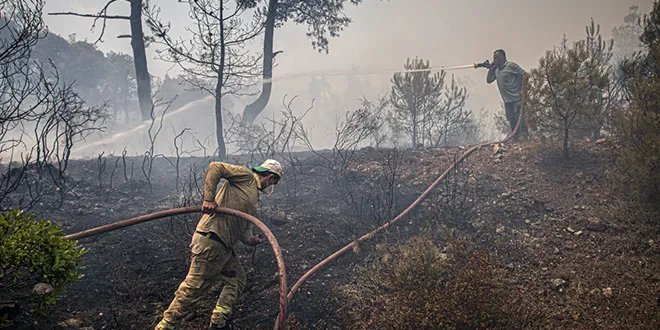تضليل حول حرائق اللاذقية: الإعلاميان موسى العمر وقتيبة ياسين ينشران فيديو مضللاً