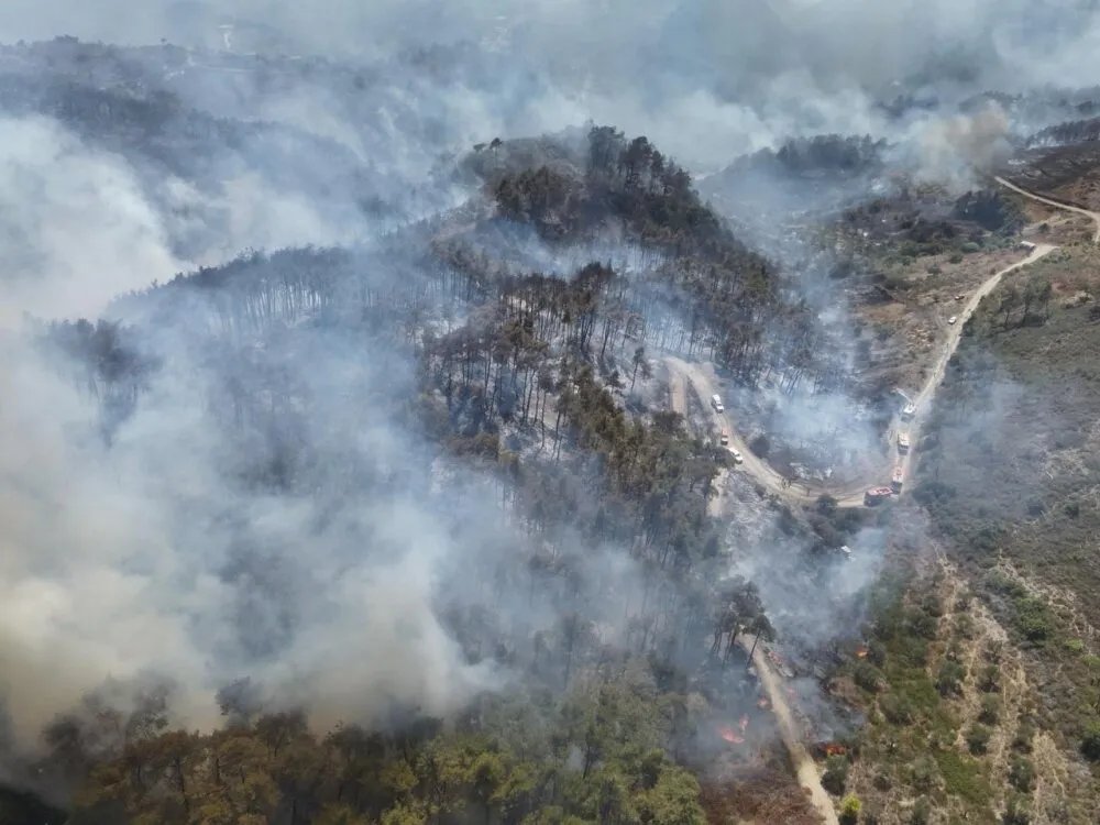 حرائق اللاذقية: كارثة بيئية تهدد سبل العيش وتثير الغضب الوطني