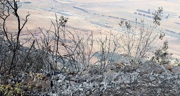 السيطرة على حرائق حراجية في ريفي إدلب وحماة بعد جهود مضنية