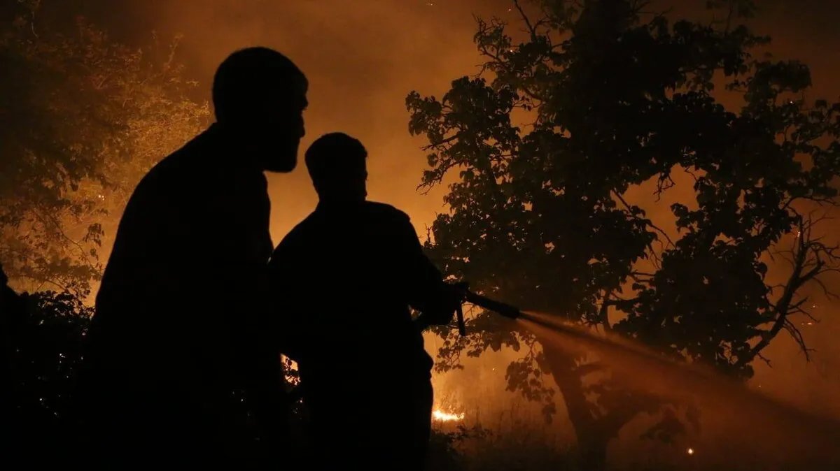 أوروبا تحترق بسبب المناخ وسوريا تبحث عن متهم: حرائق تلتهم الأخضر واليابس