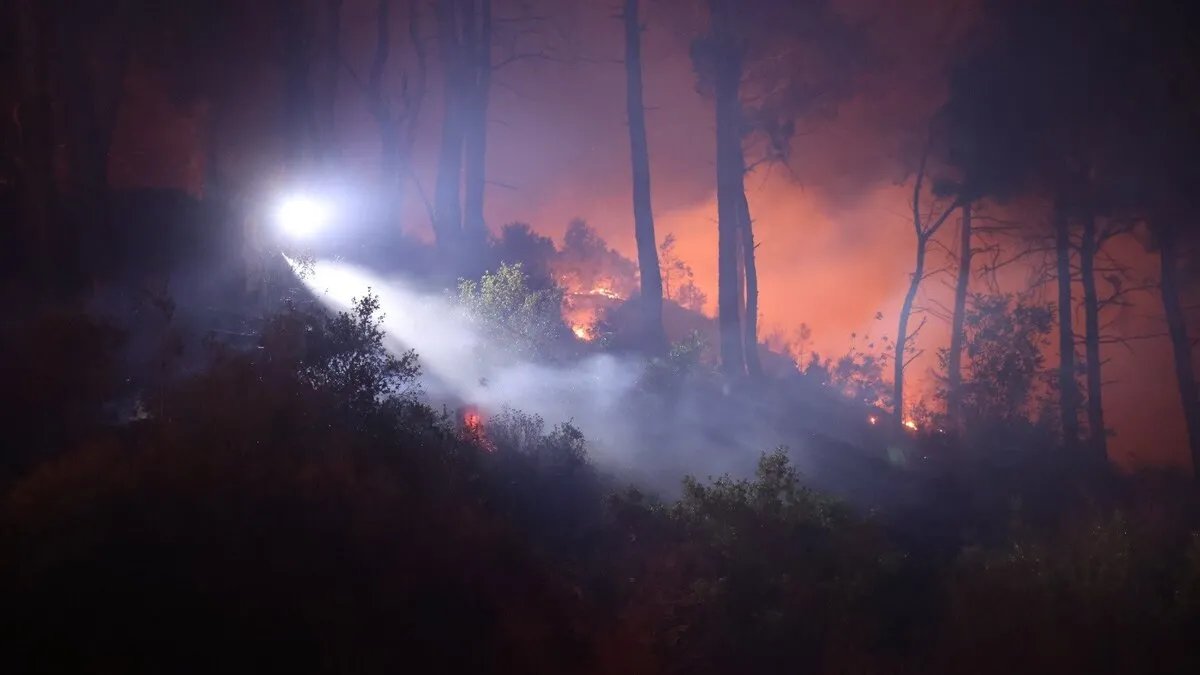 مع اشتداد الحرائق في اللاذقية: مطالب بإعادة عناصر الإطفاء المفصولين للاستفادة من خبراتهم