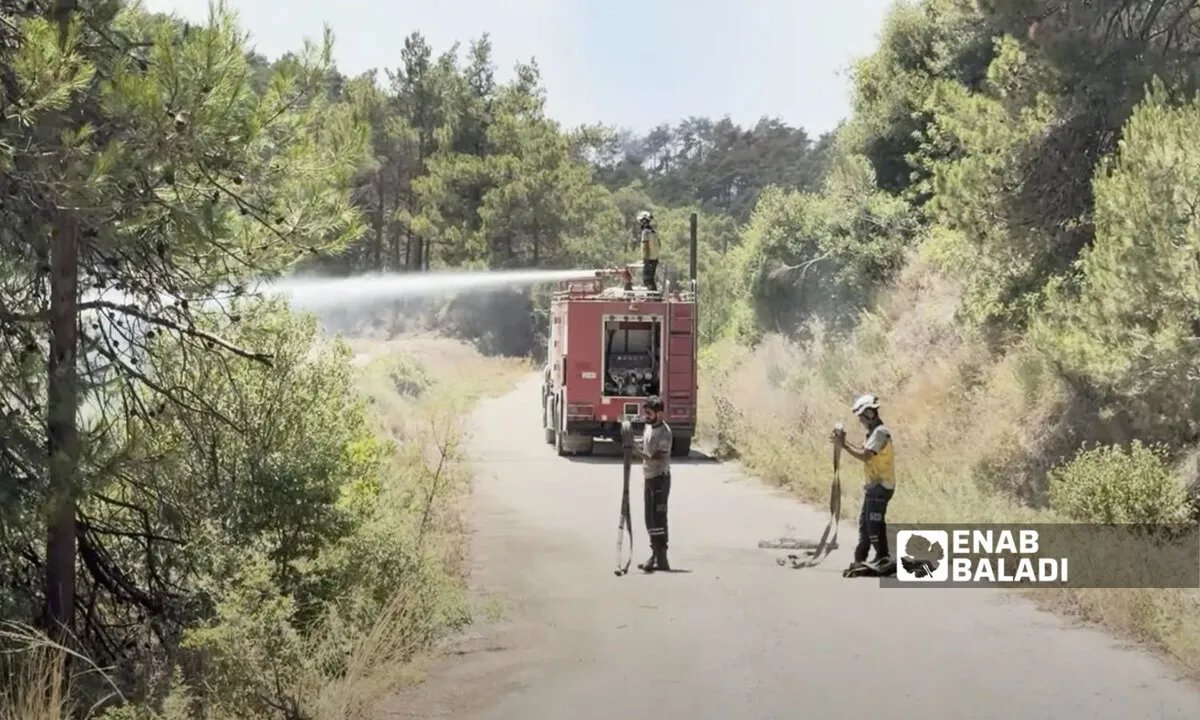 منظمة تكشف حجم الأضرار الناجمة عن الحرائق في الساحل السوري وتحدد الاحتياجات العاجلة