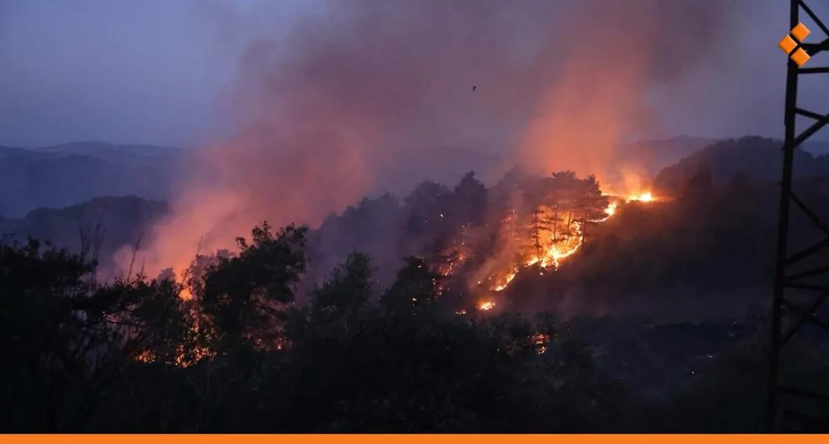 الأمم المتحدة تحث على تقديم دعم دولي عاجل لمواجهة حرائق اللاذقية المتفاقمة