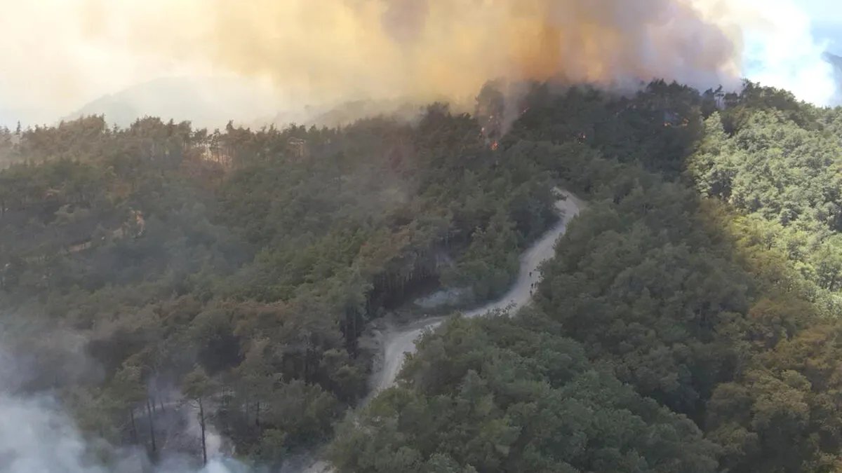 اللاذقية: فرق الإطفاء تكافح النيران في الفرنلق وكسب وسط مخاوف من اتساع رقعة الحرائق