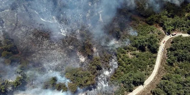 لليوم الخامس: فرق الإطفاء تواصل مكافحة حرائق اللاذقية بمشاركة دولية