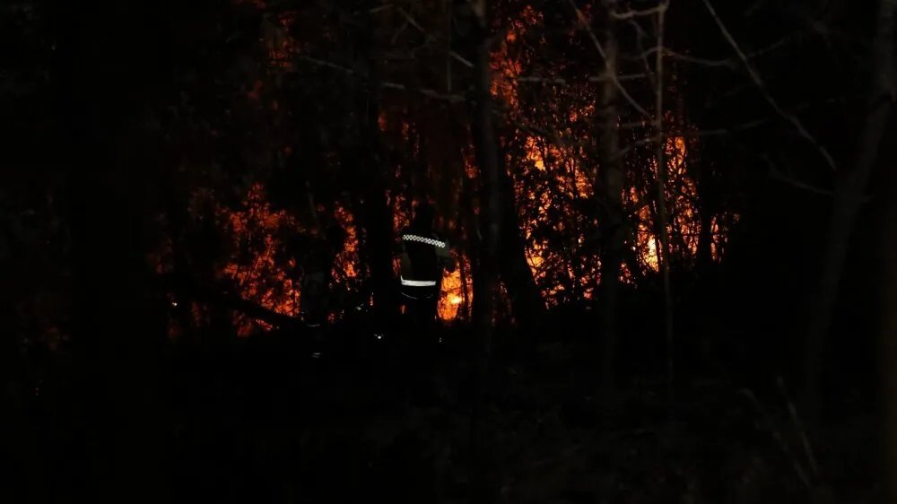 لليوم الخامس: فرق الإطفاء تكافح حرائق اللاذقية وسط ظروف بالغة الصعوبة