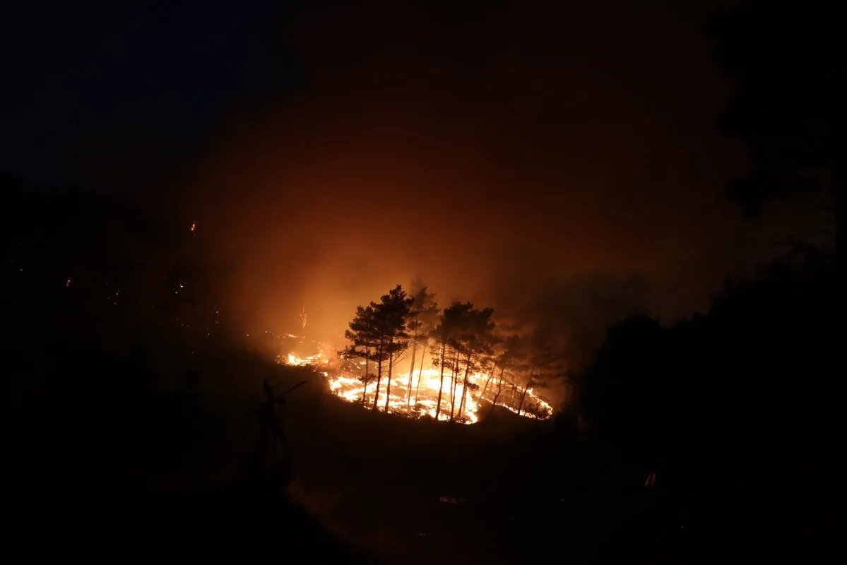 توسّع الحرائق في اللاذقية يجبر السكان على إخلاء قراهم وجهود إخماد مستمرة