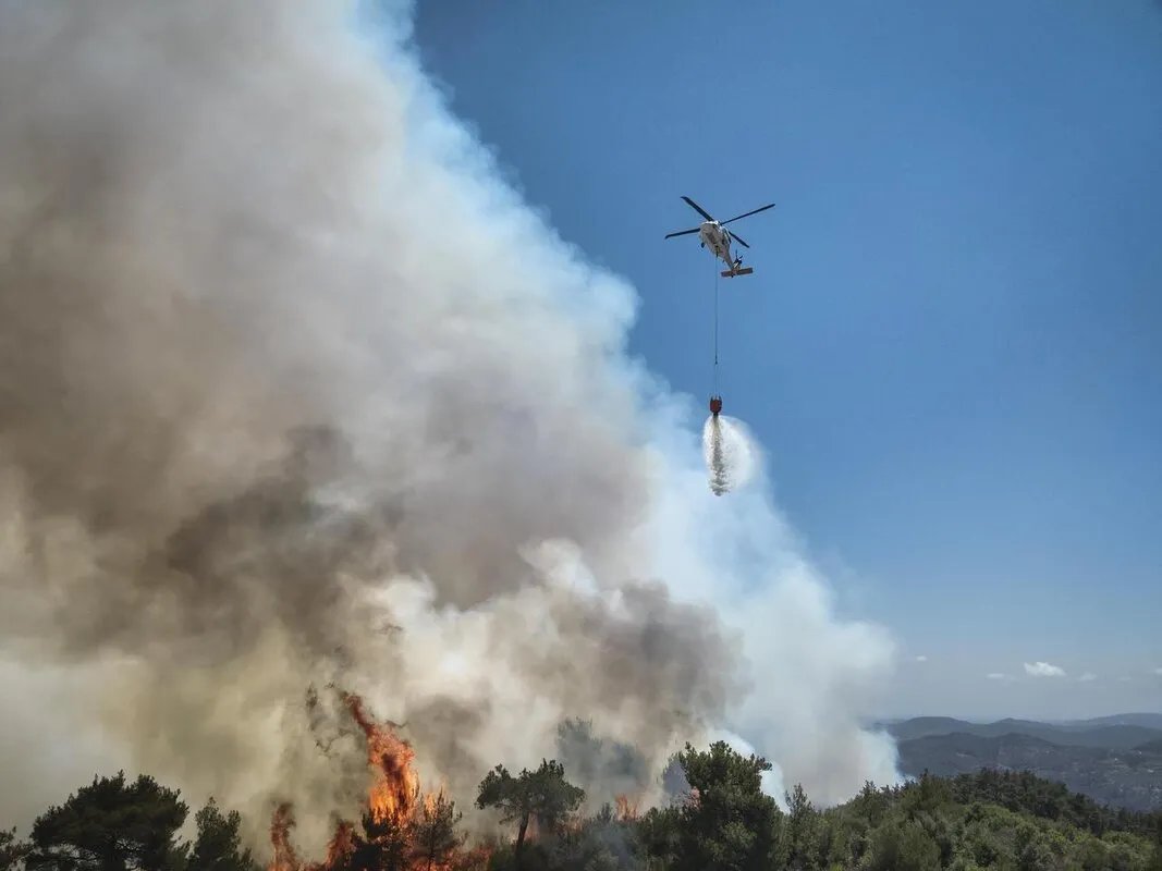 الجيش الأردني يكثف جهوده: طائرات سلاح الجو الملكي تواصل إخماد حرائق سوريا